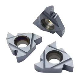 CIRLIPT INSERT
